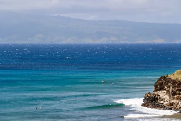 كازينو تو فات ليديز بينغو الدعم